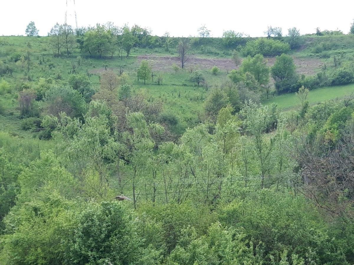 Colt De Rai - Camera De Inchiriat Решица Екстериор снимка
